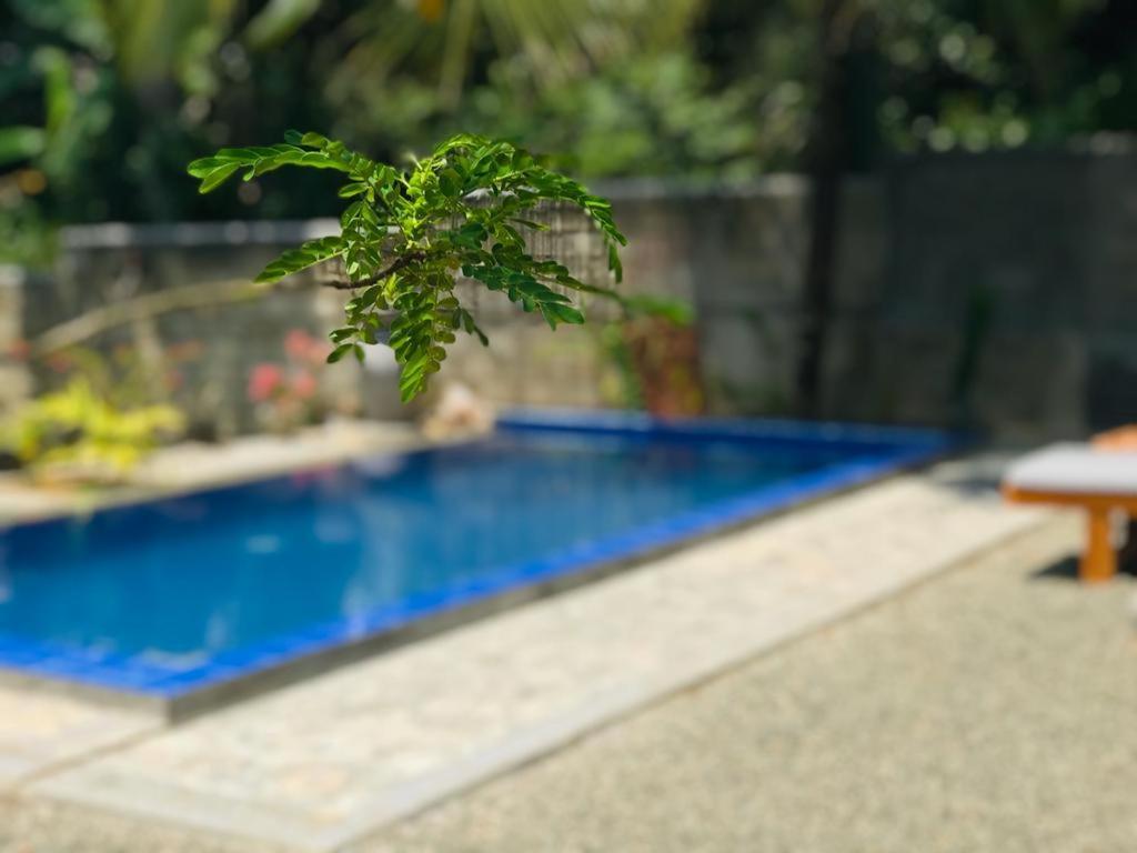 Peaceful Green Villa Унаватуна Экстерьер фото